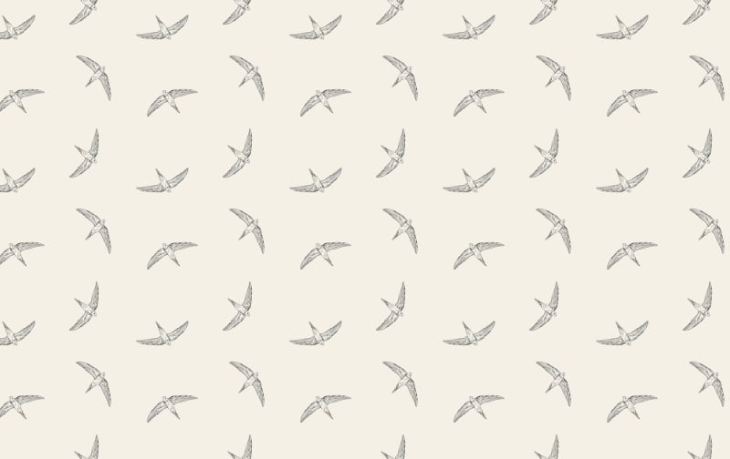 Beige Color Flying Swallow Bird Wallpaper
