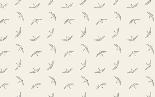 Beige Color Flying Swallow Bird Wallpaper