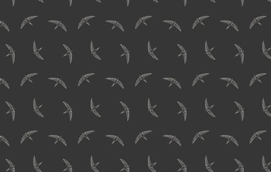 Black Color Flying Swallow Bird Wallpaper