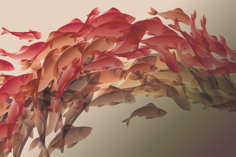 Abstract Koi Fish Wallpaper Mural