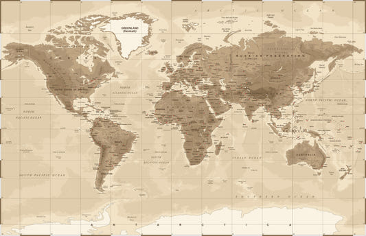 Brown Detailed Worldmap Wall Murals