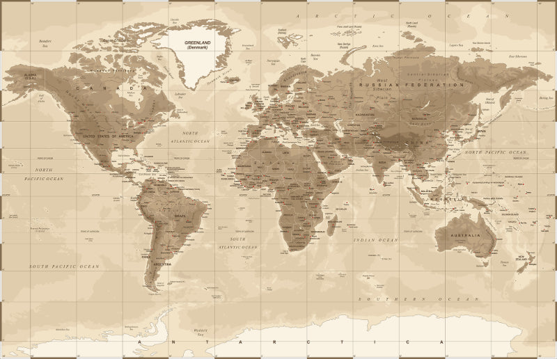 Brown Detailed Worldmap Wall Murals