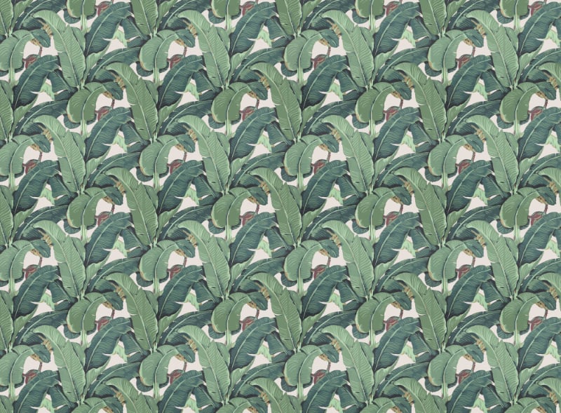 Banana Leaves & Tropical Garden Leaf Wallpaper in your room