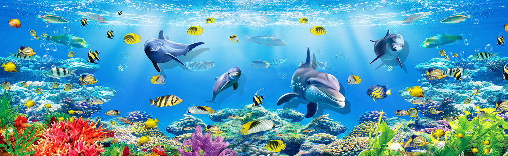 Underwater Sea Dophine Wall Wallpaper Mural in your room