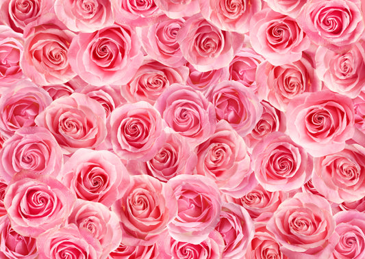 Floral peel and Stick Wallpaper