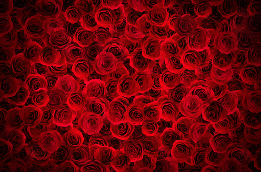 Bright Red Roses Backdrop Wallpaper Wall Murals