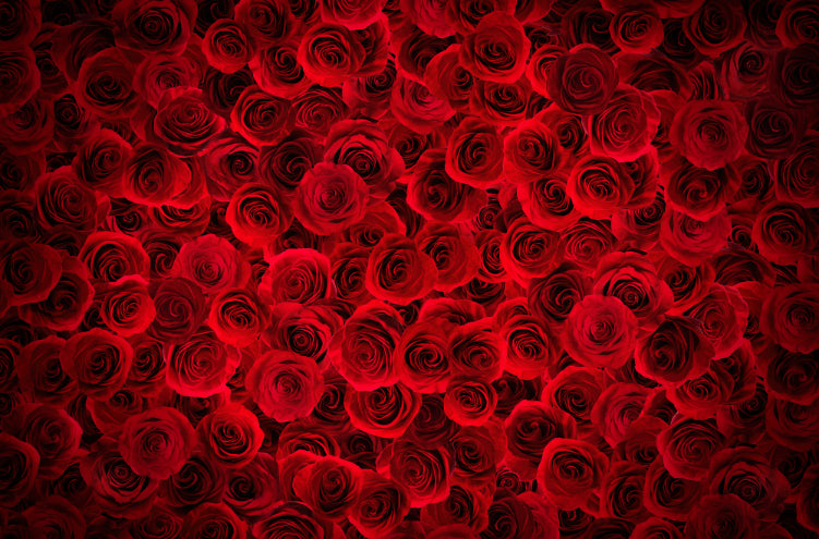 Bright Red Roses Backdrop Wallpaper Wall Murals in your room