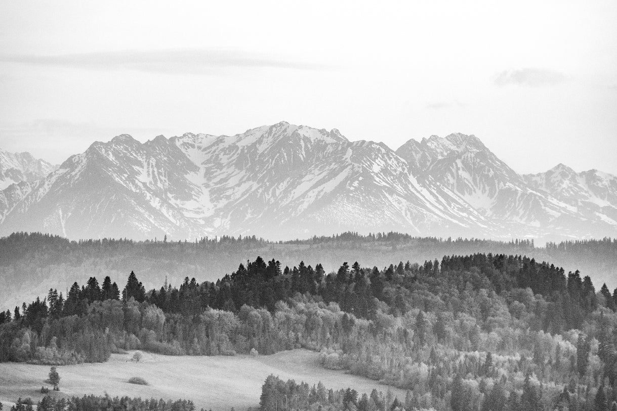 Snow Covered Mountains Winter Wallpaper Wall Murals in your room — zoomed