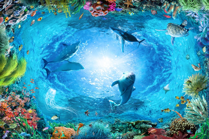 Underwater Landscape Aqua Blue Color Dolphin Wallpaper in your room