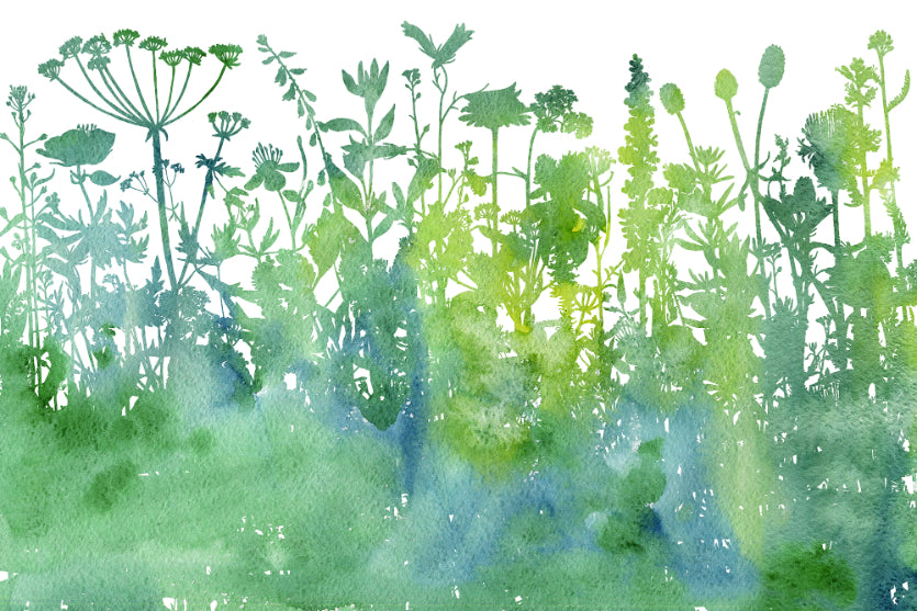 Watercolor Trees Botanical Pattern Wallpaper For Walls in your room — zoomed