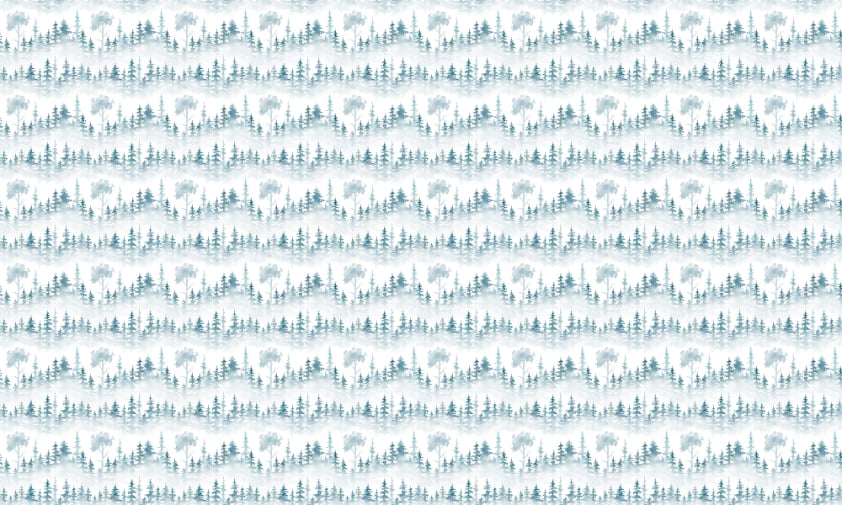 Winter Forest Surrounds Foggy White Background Wallpaper in your room