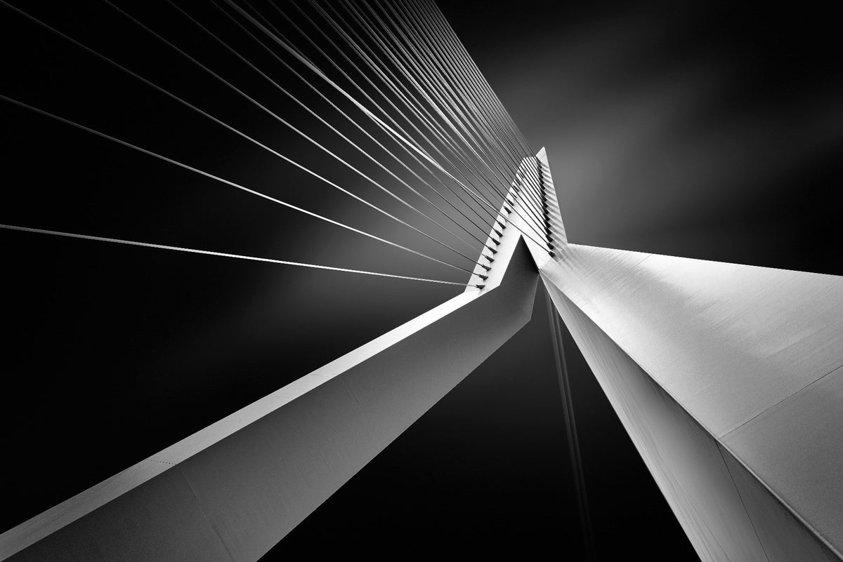 Erasmus Bridge Abstract Architectural Wall Mural in your room — zoomed