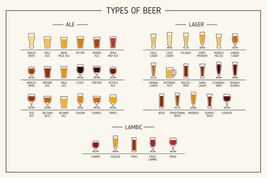 Beer Types Wall Mural