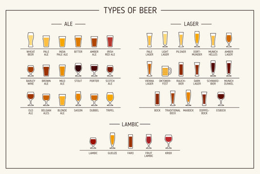Beer Types Wall Mural