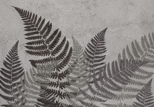 Tropical Fern Wall Mural