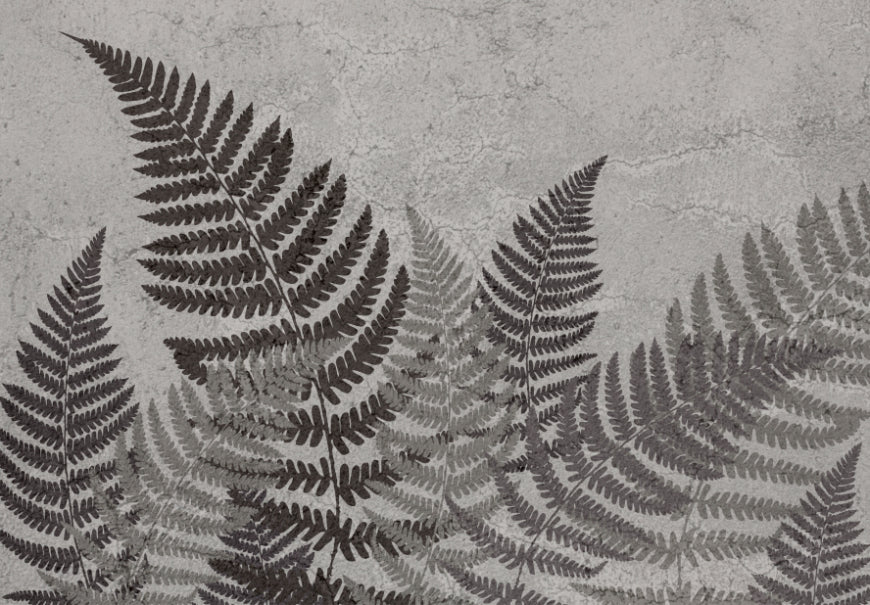 Tropical Fern Wall Mural in your room