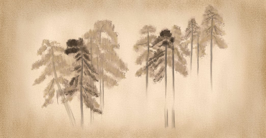 Pine Trees Wall Mural in your room — zoomed