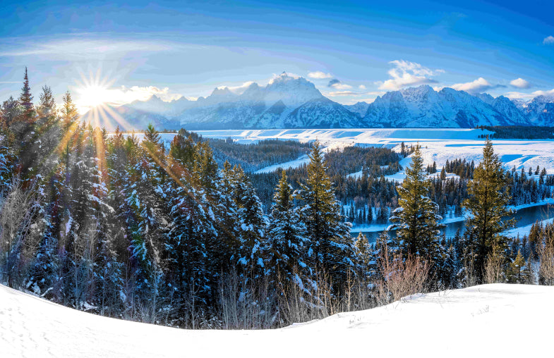 Wyoming Winter Wall Mural in your room — zoomed