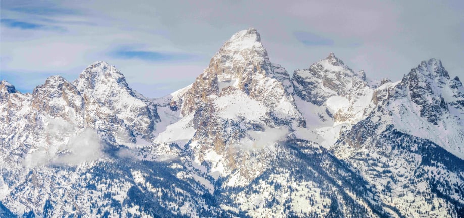 Grand Teton Wall Mural in your room — zoomed
