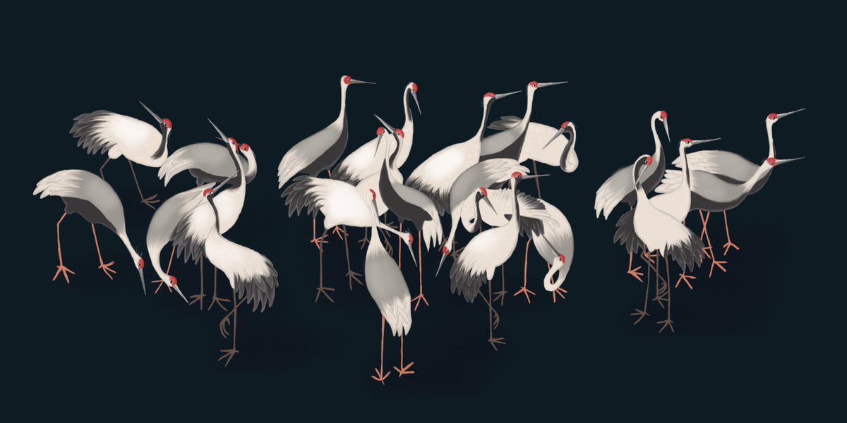 White Cranes Wall Mural in your room