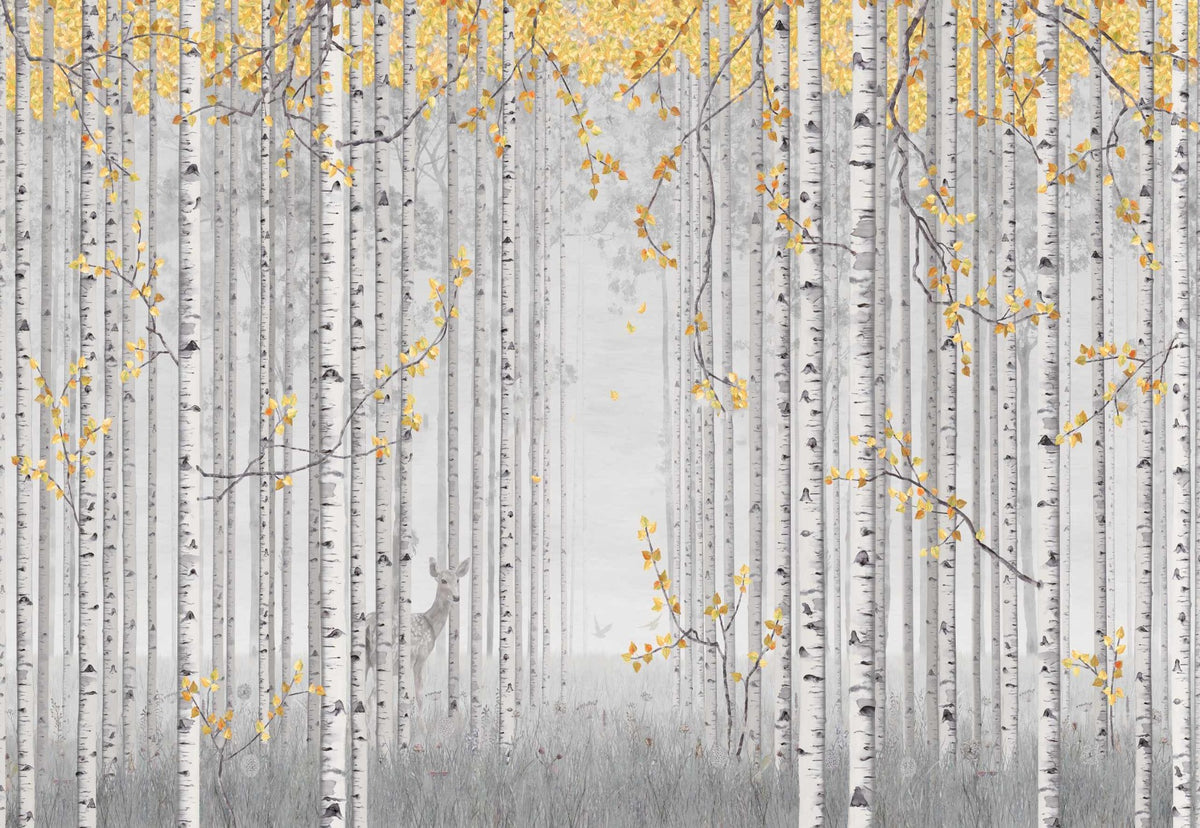Yellow Leaves and Gray Birch Trees Wall Mural
