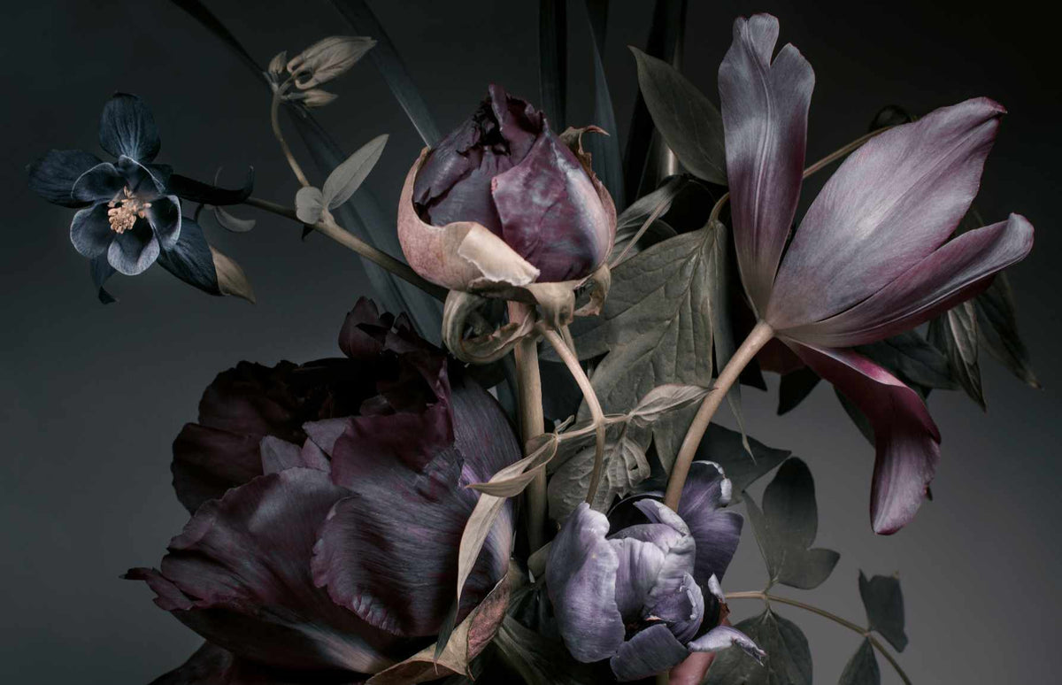 Dusk Flowering Peonies and Tulips Wall Mural in your room