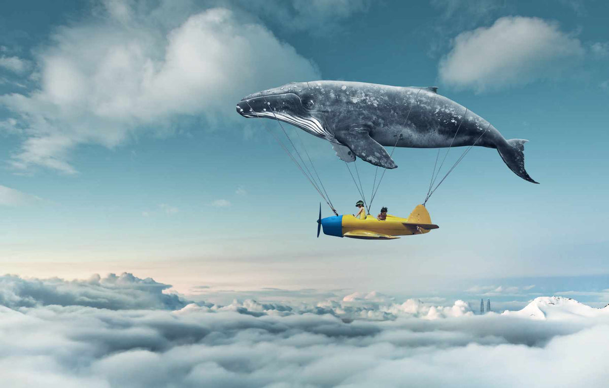 Whale Sky Dreams Celestial Voyage Mural in your room