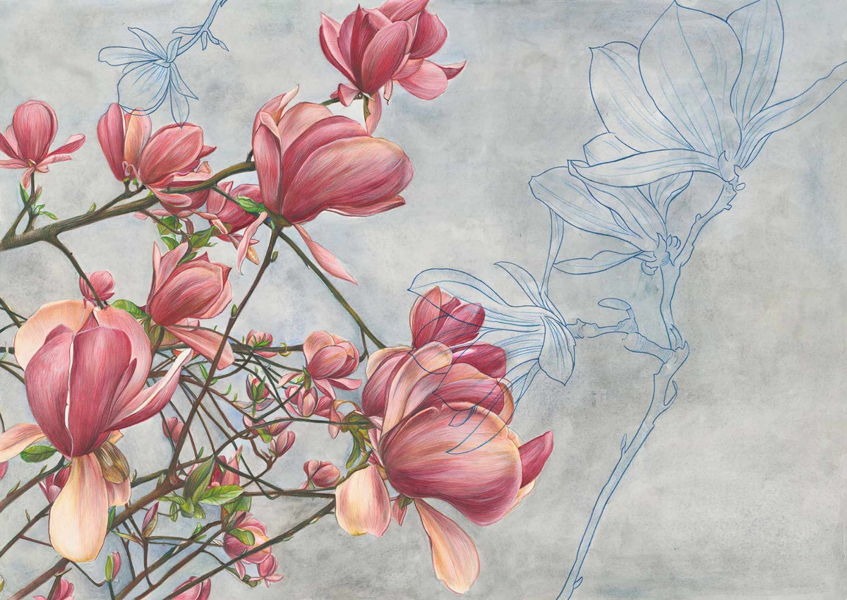 Blossoming Beauty Magnolia Wall Mural in your room
