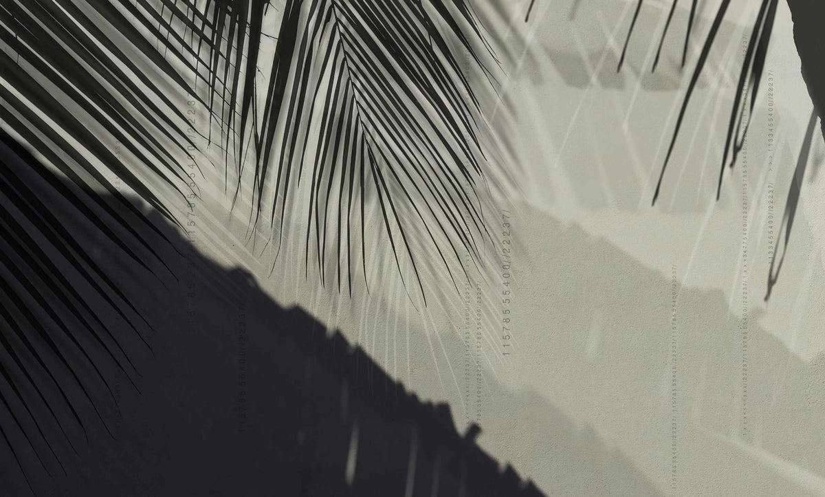 Palm Leaf Shadow Wallpaper Mural in your room
