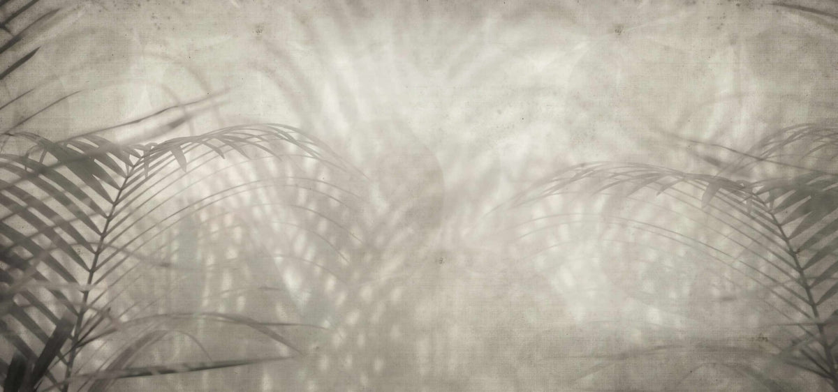 Nature's Grace Shadow Wallpaper Mural in your room