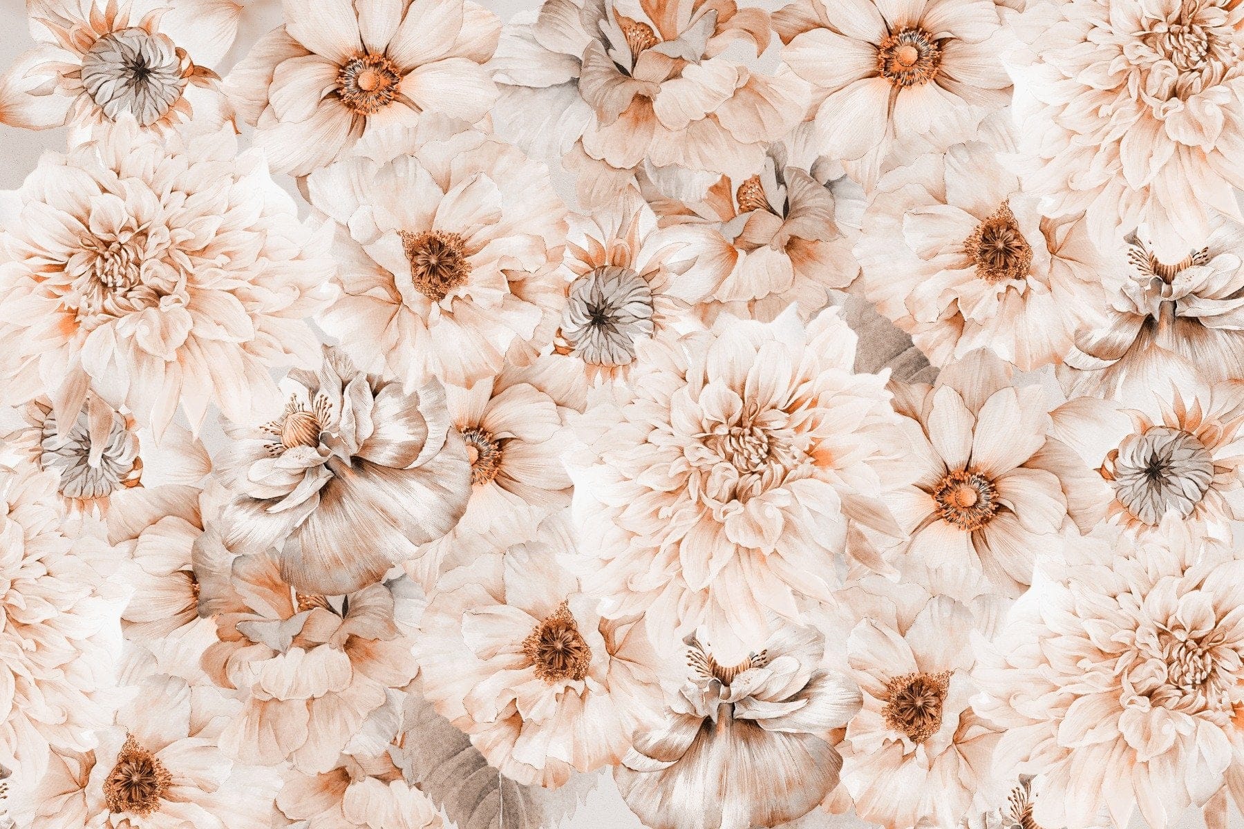 Aesthetic Flower Wallpaper - Soft Blossom in your room — zoomed