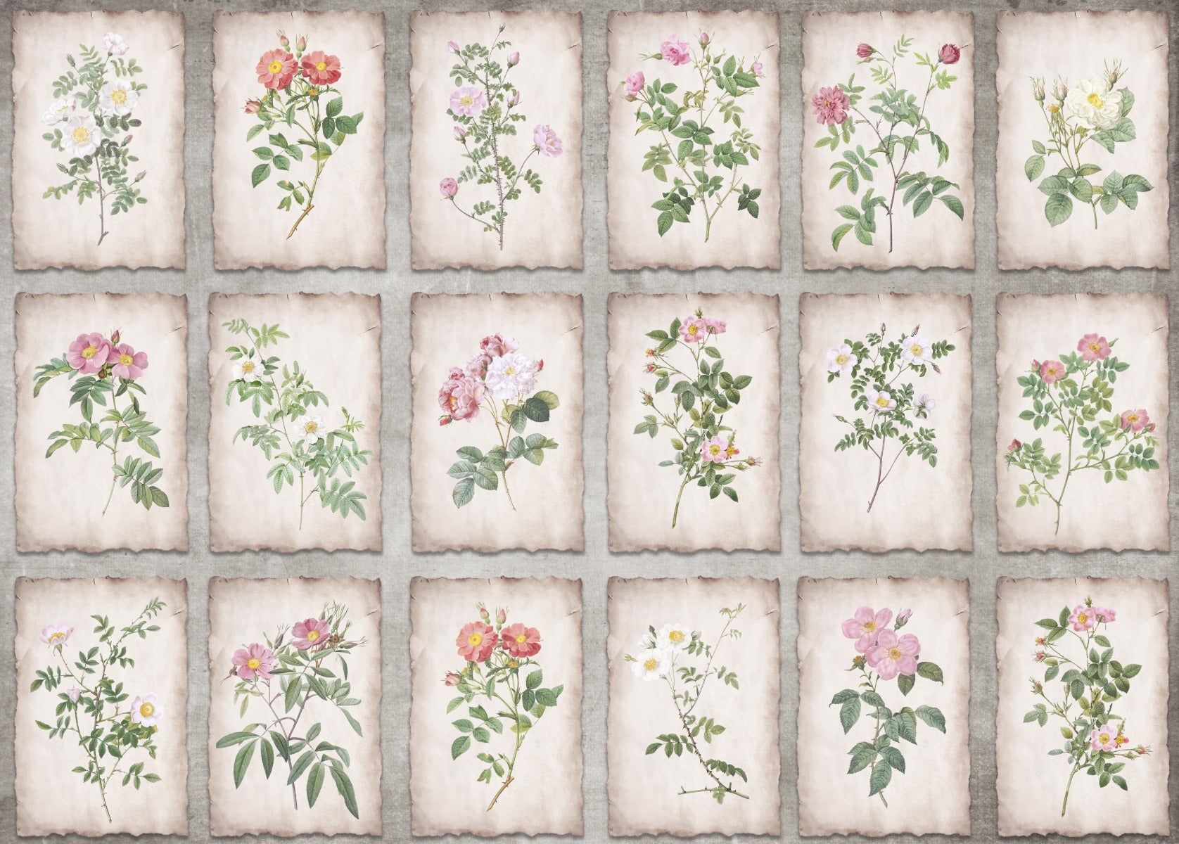 Heritage Botanicals Framed Wall Mural