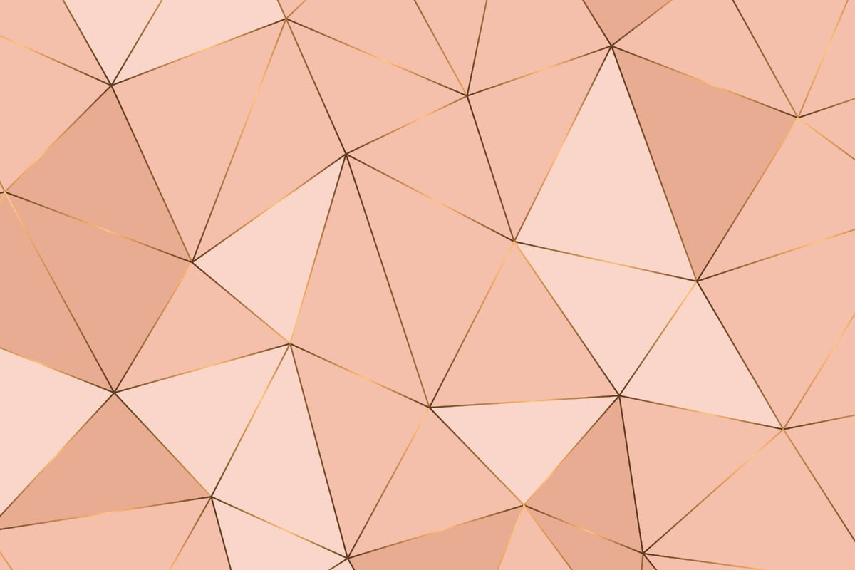Peach Geometric Harmony Wall Mural in your room