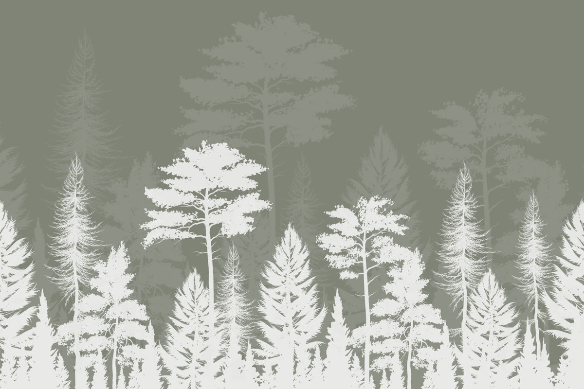 Mystic Woods Shadow play Wall Mural in your room