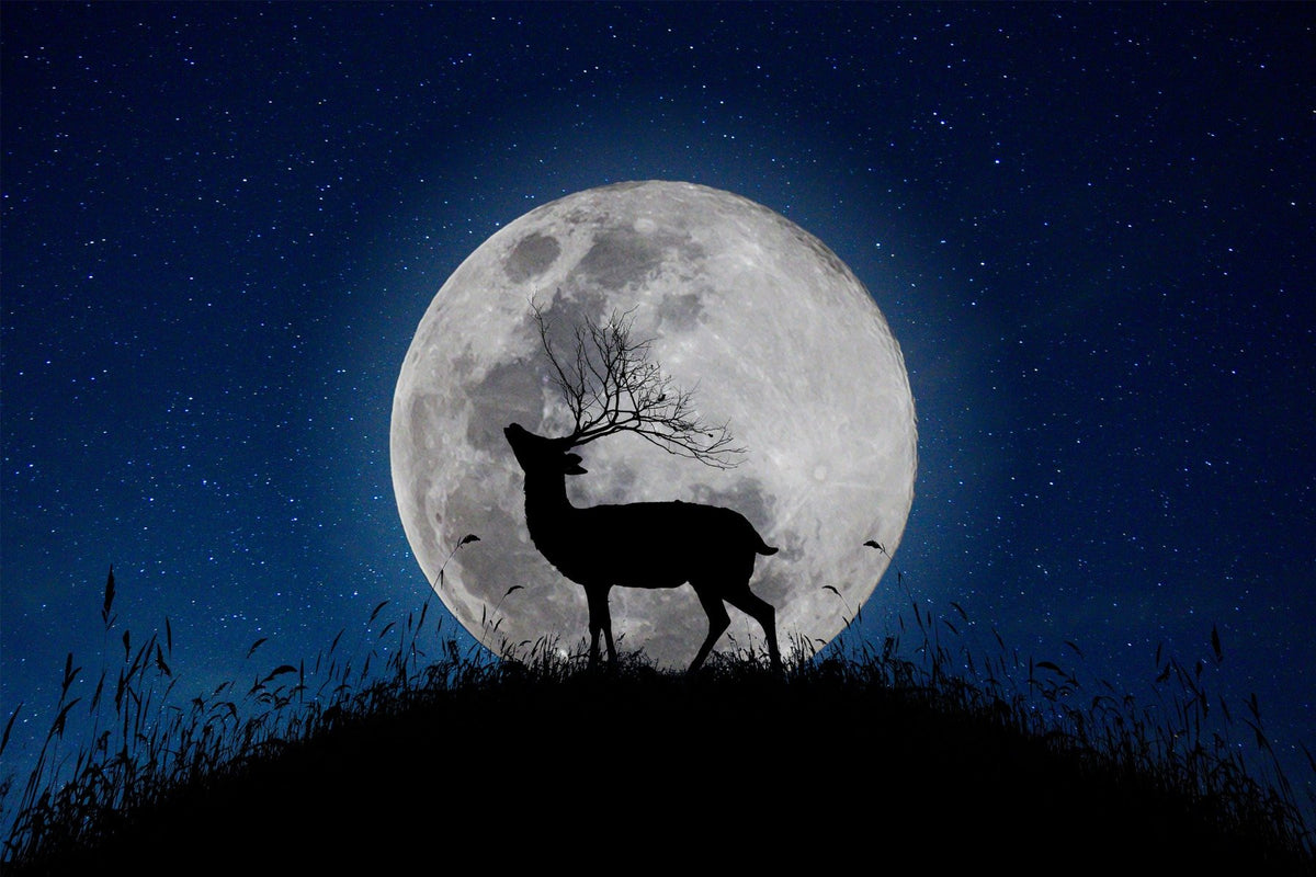 Skyward Stag Lunar Watcher Halloween Night Wallpaper Mural in your room