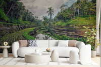 Bali Rice Fields Wall Mural