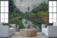 Bali Rice Fields Wall Mural