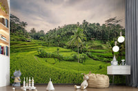 Bali Rice Terraces palm trees naturalistic bedroom wallpaper.