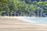 Beach Haven Wall Mural