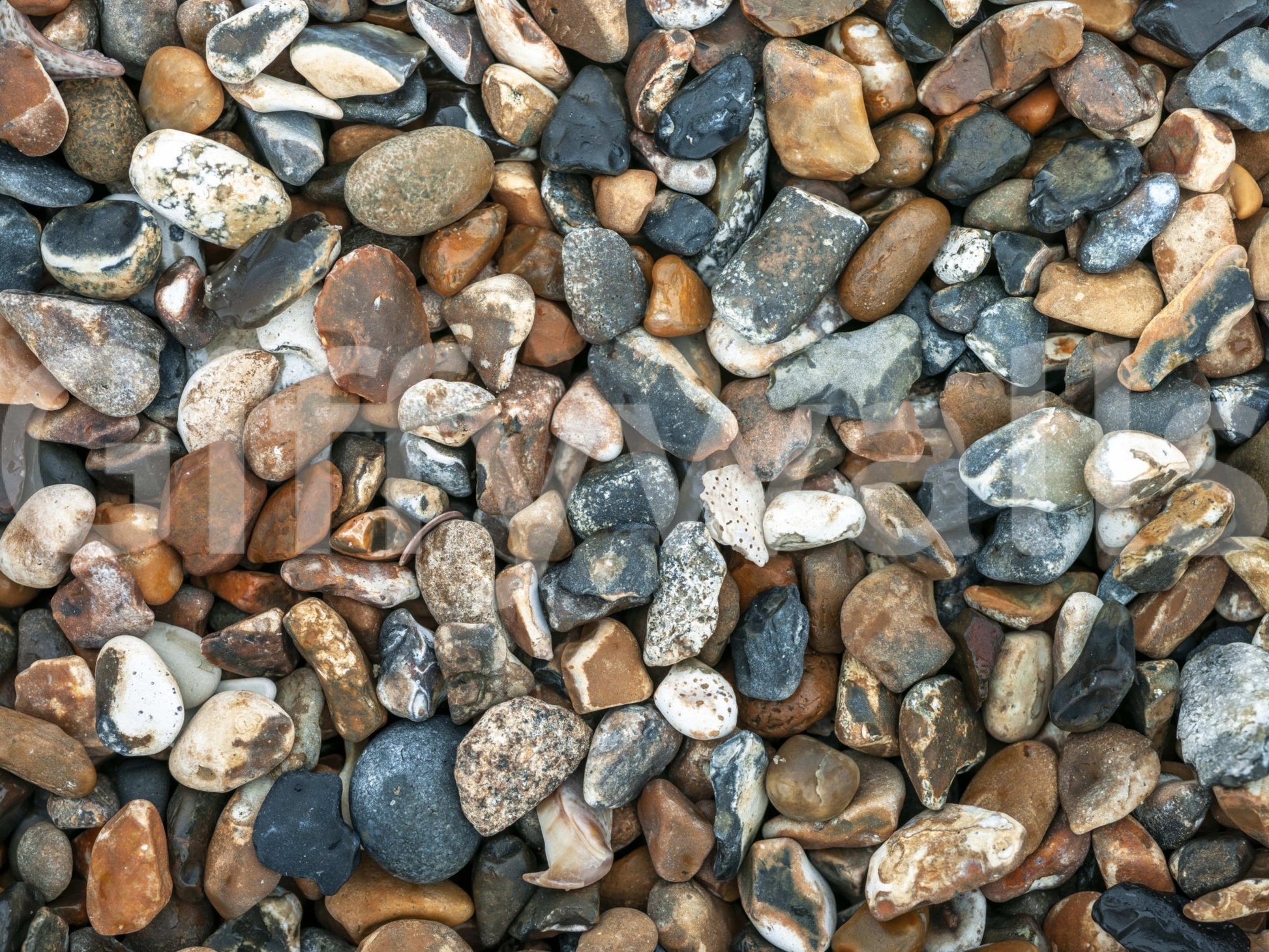 Textured pebble wall mural in open living area