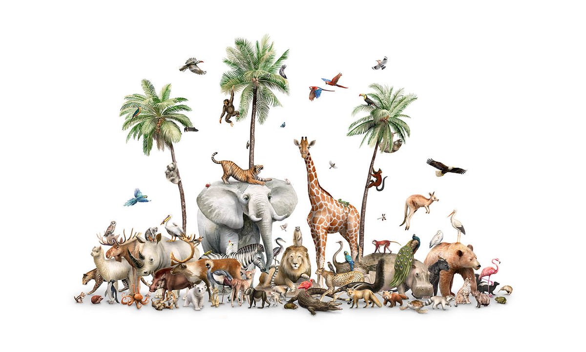 Jungle Safari Animal Birds Wallpaper Mural