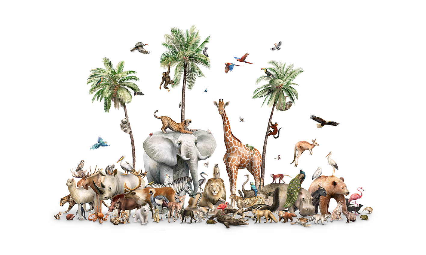 Jungle Safari Animal Birds Wallpaper Mural in your room — zoomed