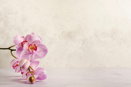 Pink Spa Flower Wallpaper Mural