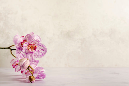 Pink Spa Flower Wallpaper Mural