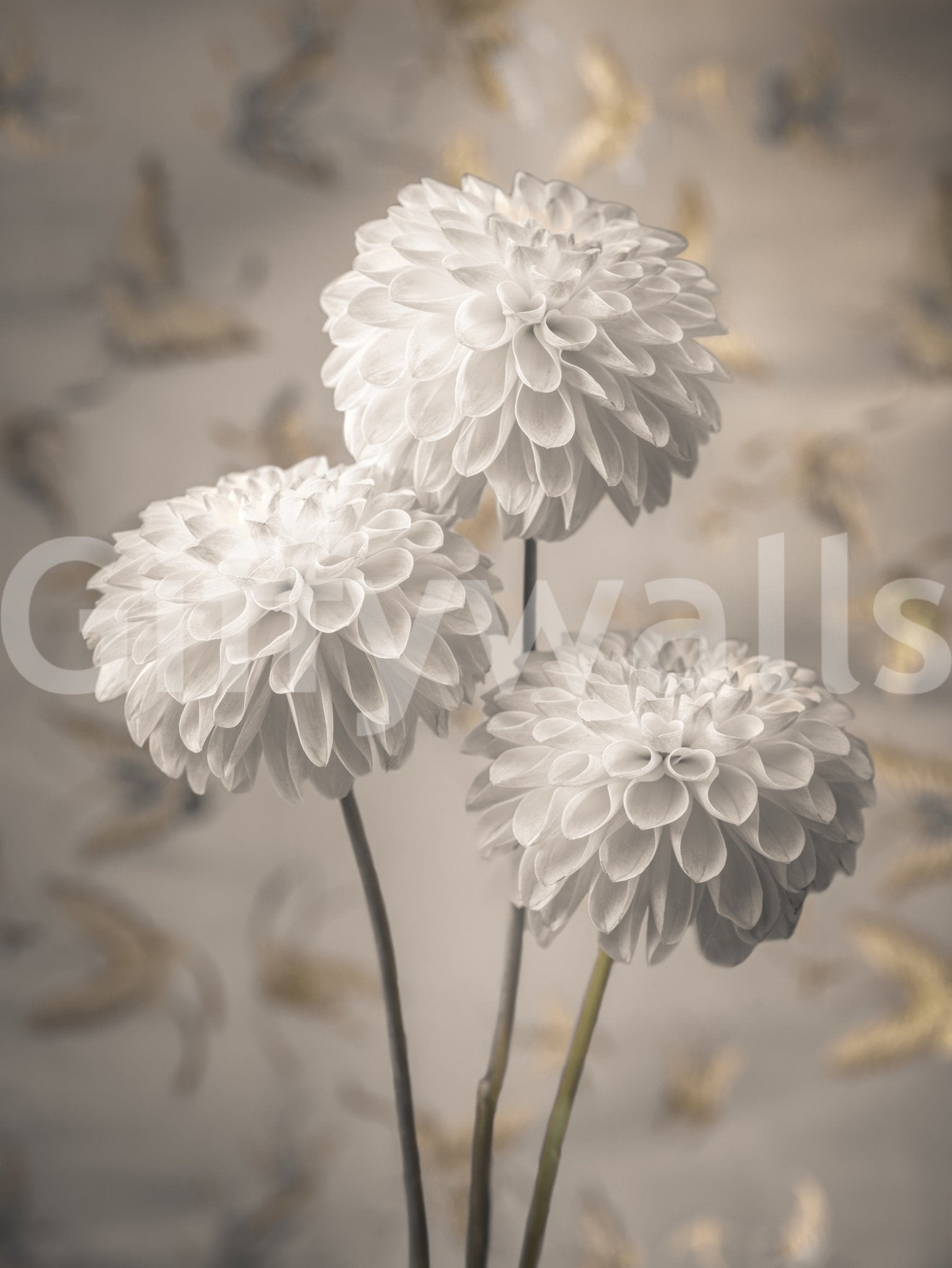 Soft sepia wallpaper for walls titled Beige Blooms.