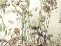 A high-quality serene field wall mural for walls.

