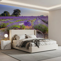 Bicycle in Lavender field Wall Mural