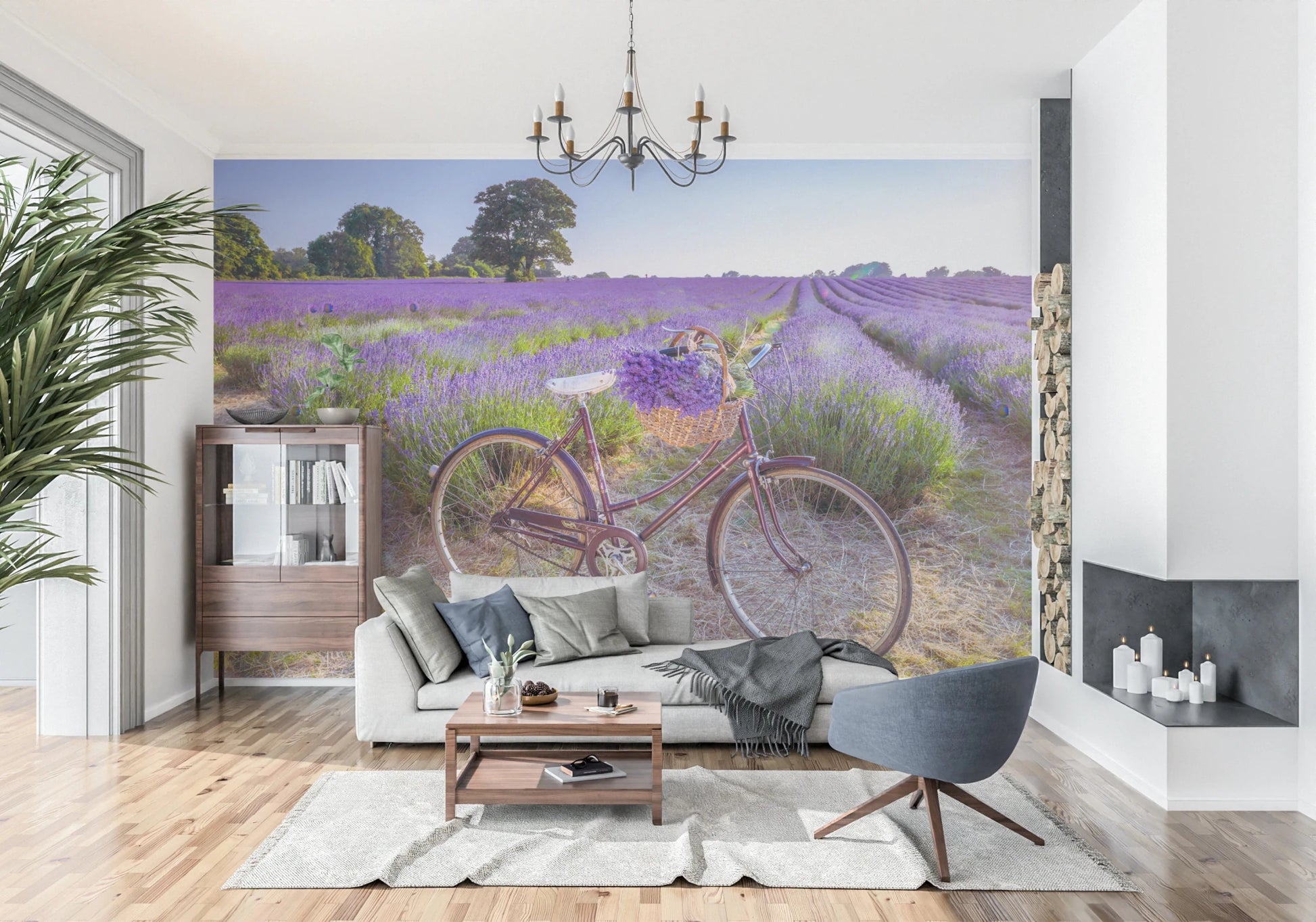 Bicycle in Lavender field Wall Mural