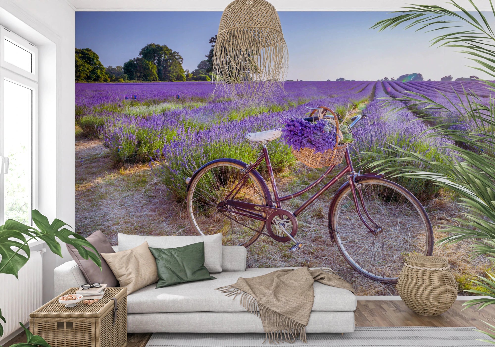 Bicycle in Lavender field wallpaper mural with a vintage red bike in purple lavender behind a white sofa in a living room