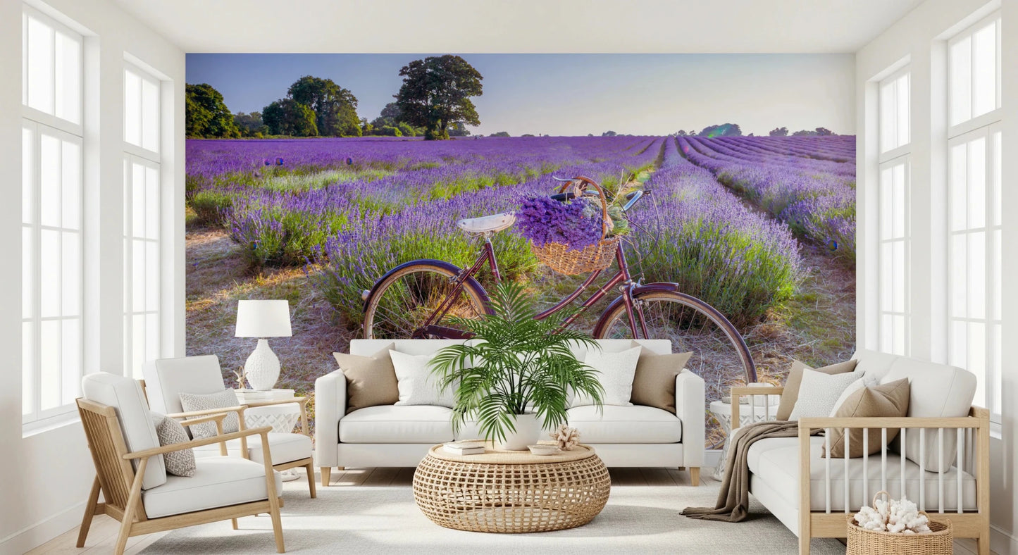 Bicycle in Lavender field Wall Mural